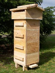 Discover How Thousands of People, Just Like You, Have Turned Their Beekeeping Dreams Into Reality