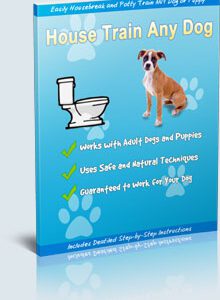 House Train Any Dog Potty Train Any Dog or Puppy in Less A Week