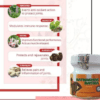 DR. THANGS Batnashak Batika tablet Pack of 2