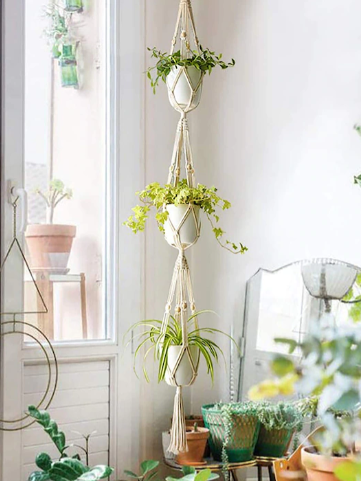 20 Things You Should Know About Homesake Macrame Plant Hangers Without Pot