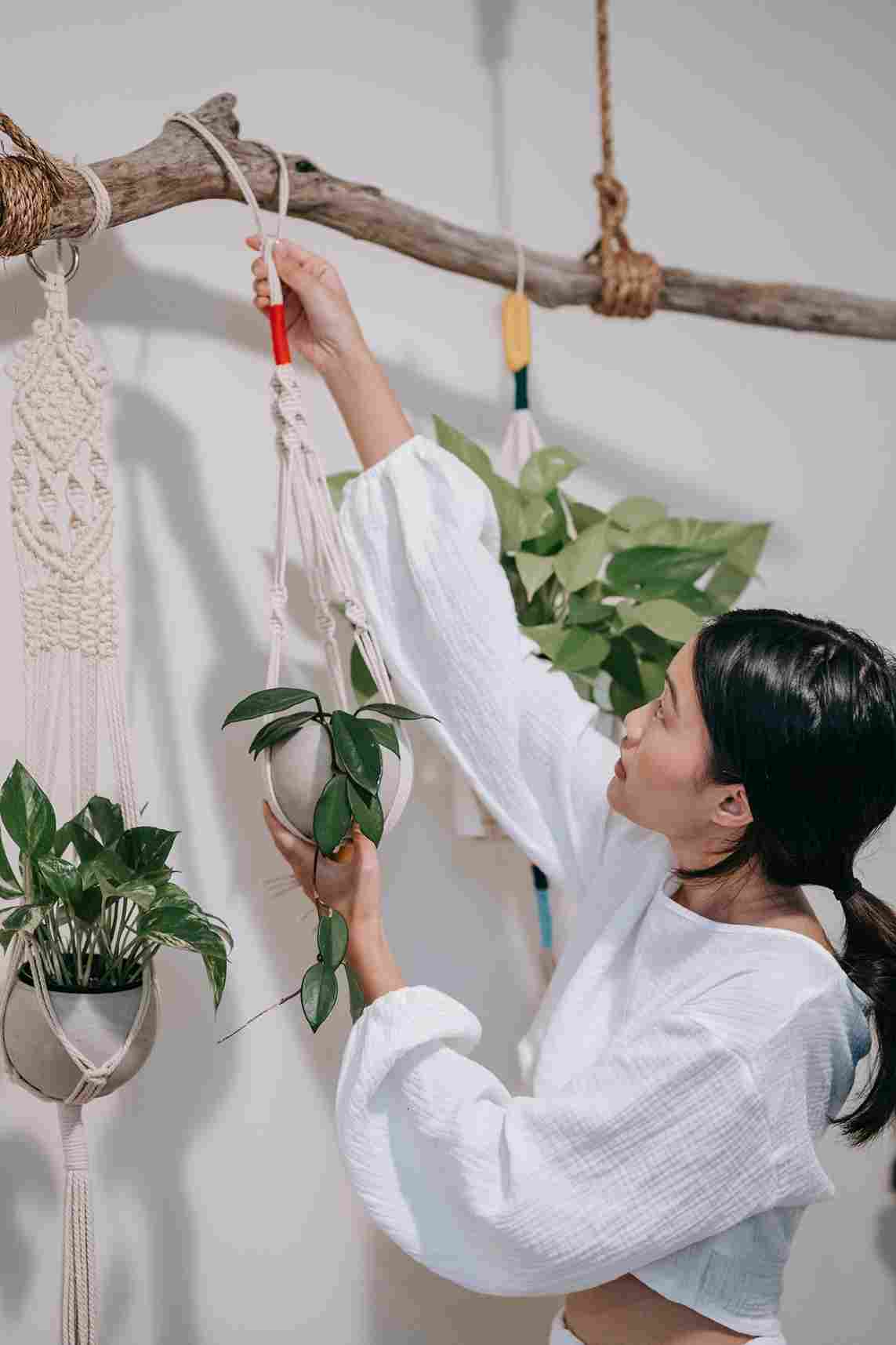 20 Things You Should Know About Homesake Macrame Plant Hangers Without Pot