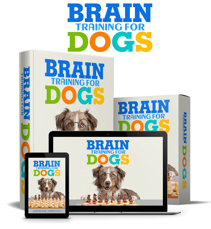 24 Hours to Improving Braintraining4dogs