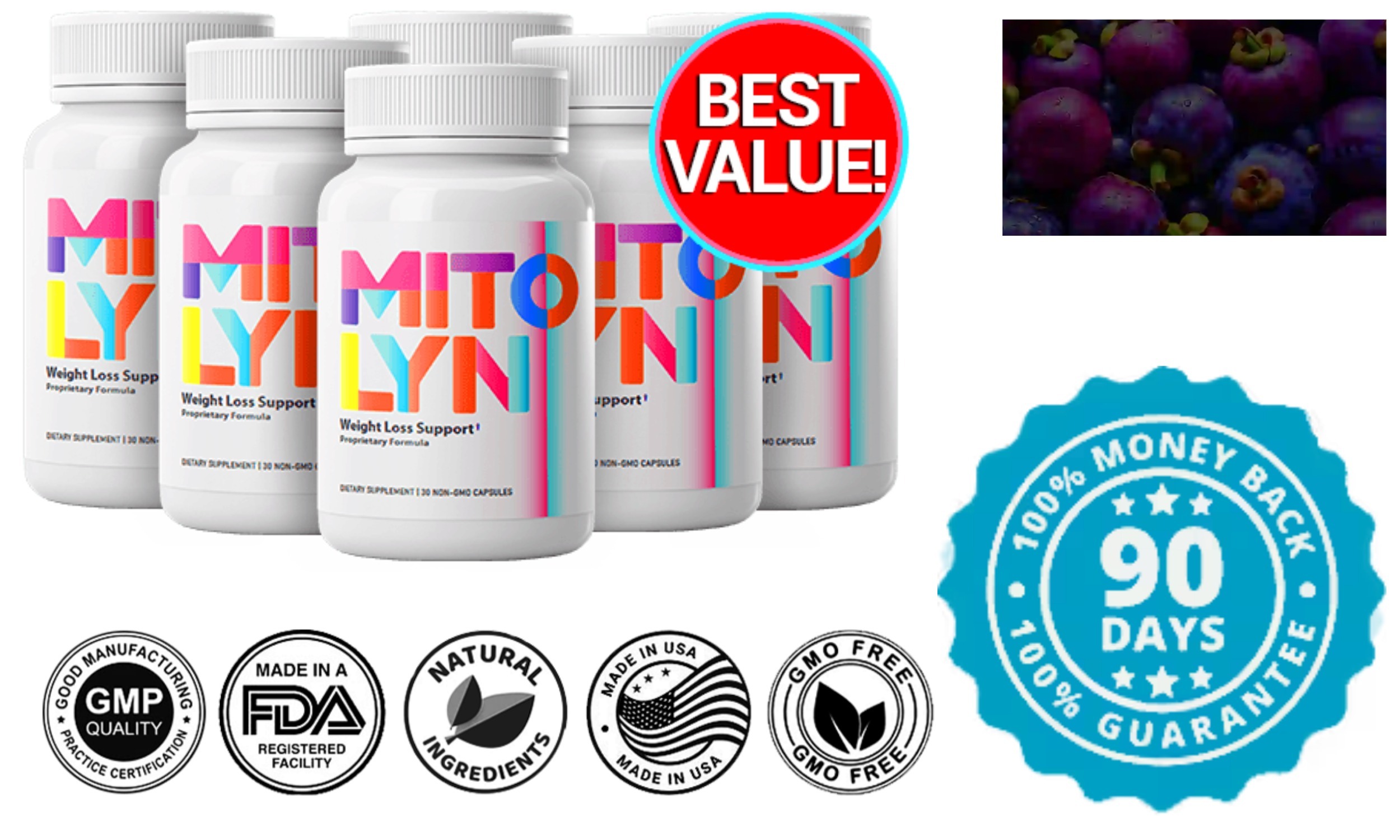 Mitochondrial Health The Key to Increased Energy and Wellbeing
