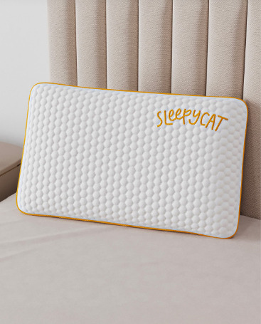 10 Insightful Quotes About Sleep Pillow