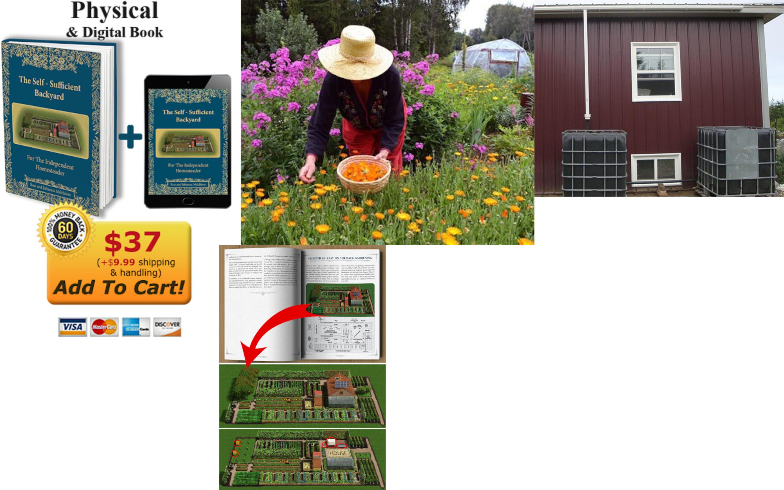 Transform Your Backyard How to Become Self-Sufficient on Just a Quarter Acre