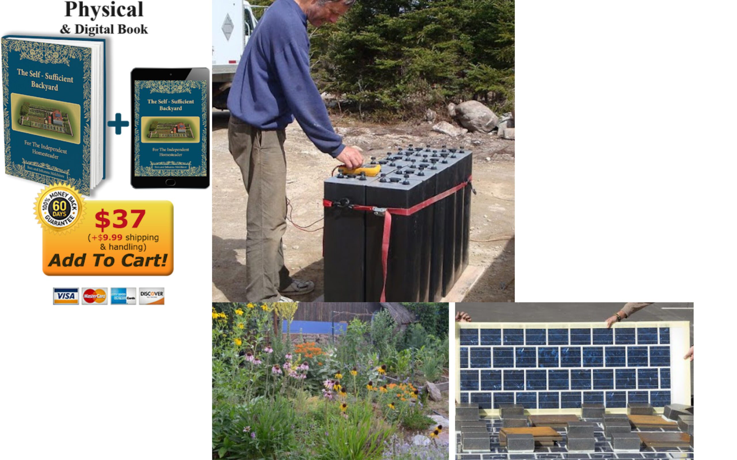 Transform Your Backyard How to Become Self-Sufficient on Just a Quarter Acre